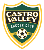 dub-castro-valley-soccer-club
