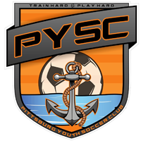 PYSC 3.5 x 3.5 Sticker