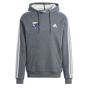 WCCYSL Adidas Hoodie (Grey) Image